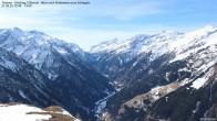 Archiv Foto Webcam Tristner/ Zillertal - Blick zum Grinberg 11:00