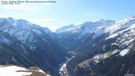 Archiv Foto Webcam Tristner/ Zillertal - Blick zum Grinberg 13:00