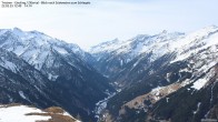 Archiv Foto Webcam Tristner/ Zillertal - Blick zum Grinberg 11:00