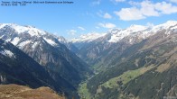 Archiv Foto Webcam Tristner/ Zillertal - Blick zum Grinberg 09:00