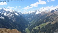 Archiv Foto Webcam Tristner/ Zillertal - Blick zum Grinberg 11:00