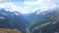 Archiv Foto Webcam Tristner/ Zillertal - Blick zum Grinberg 13:00