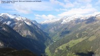 Archived image Webcam Tristner/ Zillertal - View to Grinberg 07:00