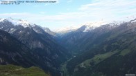 Archiv Foto Webcam Tristner/ Zillertal - Blick zum Grinberg 06:00