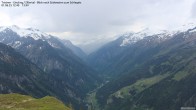 Archiv Foto Webcam Tristner/ Zillertal - Blick zum Grinberg 11:00