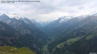 Archiv Foto Webcam Tristner/ Zillertal - Blick zum Grinberg 11:00