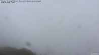 Archiv Foto Webcam Tristner/ Zillertal - Blick zum Grinberg 13:00