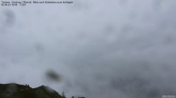 Archiv Foto Webcam Tristner/ Zillertal - Blick zum Grinberg 15:00