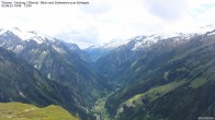 Archiv Foto Webcam Tristner/ Zillertal - Blick zum Grinberg 13:00