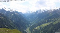 Archiv Foto Webcam Tristner/ Zillertal - Blick zum Grinberg 13:00