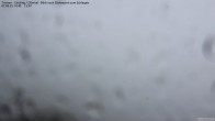 Archived image Webcam Tristner/ Zillertal - View to Grinberg 13:00