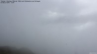 Archived image Webcam Tristner/ Zillertal - View to Grinberg 15:00