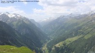 Archiv Foto Webcam Tristner/ Zillertal - Blick zum Grinberg 11:00