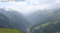 Archiv Foto Webcam Tristner/ Zillertal - Blick zum Grinberg 13:00