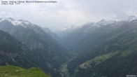 Archiv Foto Webcam Tristner/ Zillertal - Blick zum Grinberg 15:00