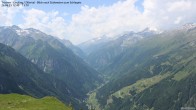 Archiv Foto Webcam Tristner/ Zillertal - Blick zum Grinberg 11:00