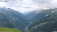 Archiv Foto Webcam Tristner/ Zillertal - Blick zum Grinberg 11:00