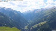 Archiv Foto Webcam Tristner/ Zillertal - Blick zum Grinberg 13:00