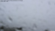 Archiv Foto Webcam Tristner/ Zillertal - Blick zum Grinberg 11:00