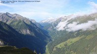 Archiv Foto Webcam Tristner/ Zillertal - Blick zum Grinberg 07:00