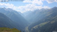 Archiv Foto Webcam Tristner/ Zillertal - Blick zum Grinberg 13:00