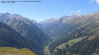 Archived image Webcam Tristner/ Zillertal - View to Grinberg 11:00