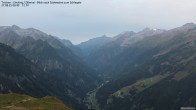 Archiv Foto Webcam Tristner/ Zillertal - Blick zum Grinberg 05:00
