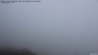 Archiv Foto Webcam Tristner/ Zillertal - Blick zum Grinberg 08:00