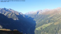 Archived image Webcam Tristner/ Zillertal - View to Grinberg 08:00