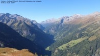 Archived image Webcam Tristner/ Zillertal - View to Grinberg 09:00