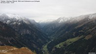 Archiv Foto Webcam Tristner/ Zillertal - Blick zum Grinberg 09:00