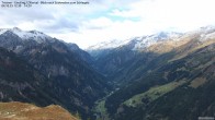 Archiv Foto Webcam Tristner/ Zillertal - Blick zum Grinberg 11:00