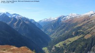 Archiv Foto Webcam Tristner/ Zillertal - Blick zum Grinberg 11:00