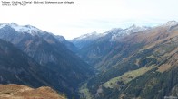 Archived image Webcam Tristner/ Zillertal - View to Grinberg 11:00