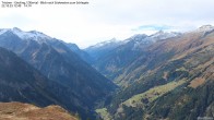 Archived image Webcam Tristner/ Zillertal - View to Grinberg 11:00