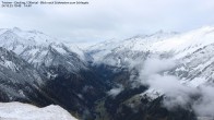 Archived image Webcam Tristner/ Zillertal - View to Grinberg 09:00