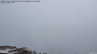Archiv Foto Webcam Tristner/ Zillertal - Blick zum Grinberg 11:00