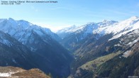 Archiv Foto Webcam Tristner/ Zillertal - Blick zum Grinberg 11:00