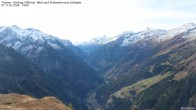 Archiv Foto Webcam Tristner/ Zillertal - Blick zum Grinberg 11:00