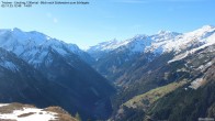 Archiv Foto Webcam Tristner/ Zillertal - Blick zum Grinberg 11:00