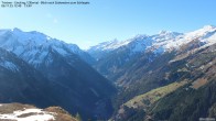 Archiv Foto Webcam Tristner/ Zillertal - Blick zum Grinberg 11:00