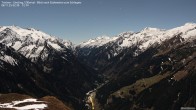 Archiv Foto Webcam Tristner/ Zillertal - Blick zum Grinberg 01:00