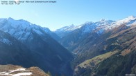 Archiv Foto Webcam Tristner/ Zillertal - Blick zum Grinberg 11:00