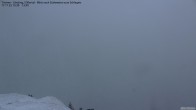 Archived image Webcam Tristner/ Zillertal - View to Grinberg 14:00