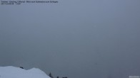 Archiv Foto Webcam Tristner/ Zillertal - Blick zum Grinberg 08:00