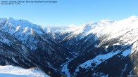 Archived image Webcam Tristner/ Zillertal - View to Grinberg 08:00