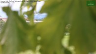 Archiv Foto Webcam Hanusel Hof - Golf und Wellness Hotel - Allgäu 05:00