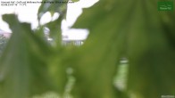 Archiv Foto Webcam Hanusel Hof - Golf und Wellness Hotel - Allgäu 06:00