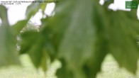 Archiv Foto Webcam Hanusel Hof - Golf und Wellness Hotel - Allgäu 05:00