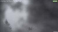 Archived image Webcam Hochrieshütte - View to the south 09:00